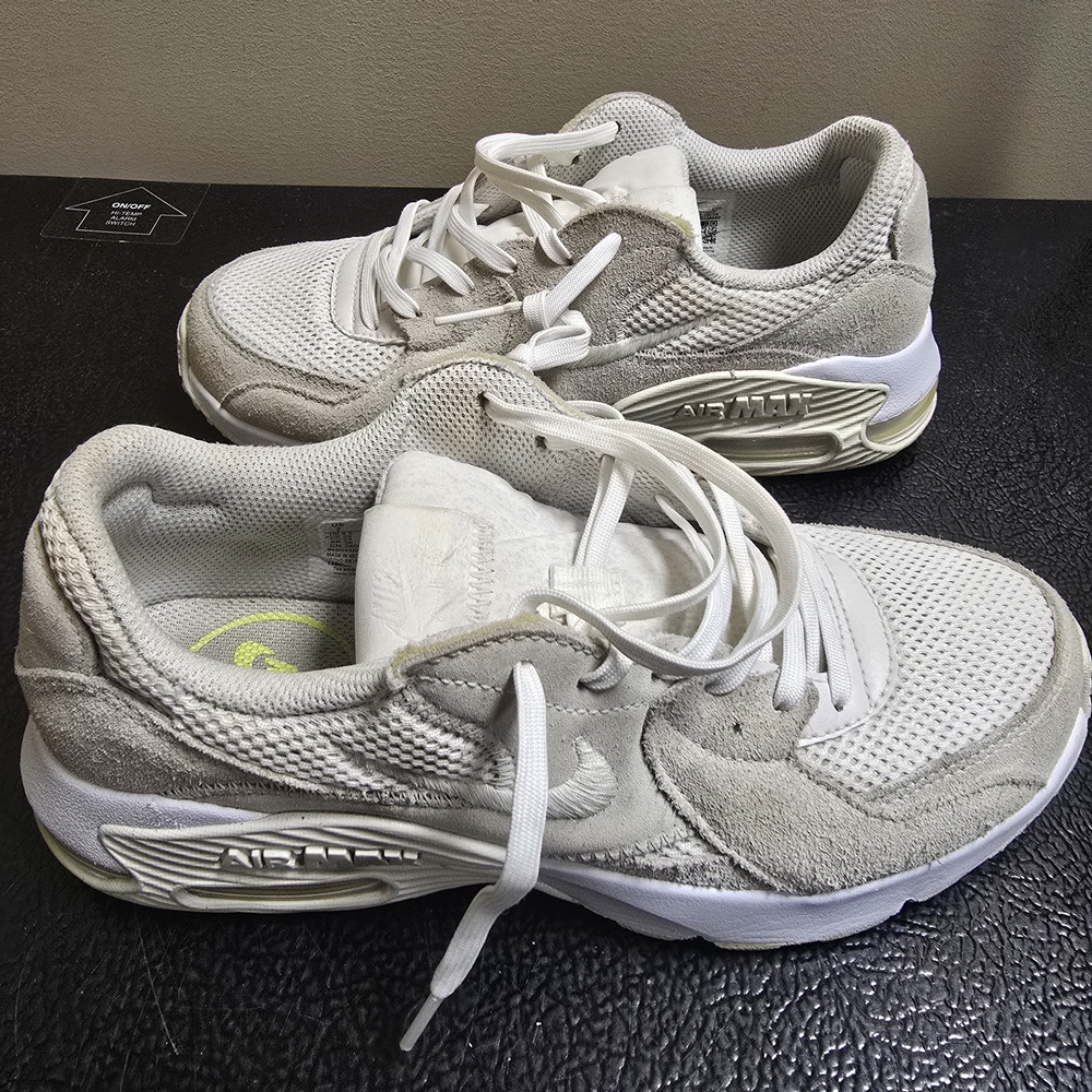 Nike Light Gray and White Mesh Sneakers